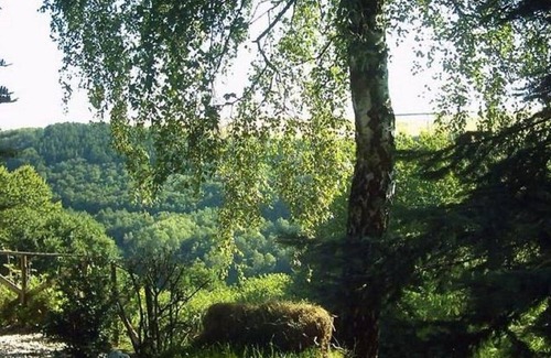 Morscheid-Riedenburg Villa | Mansión Morbach Hillside