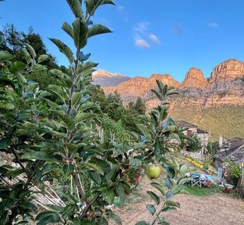 Papigo Casa | Morfeas Guesthouse