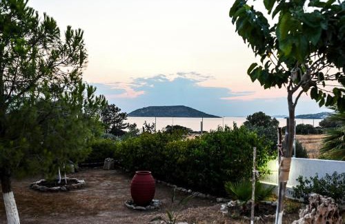 Thymari Casa | morfo's sunset