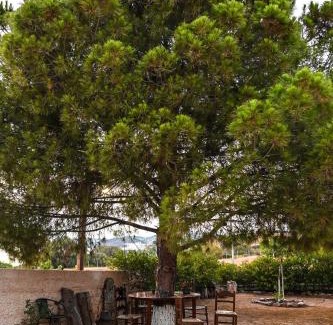 Thymari Casa | morfo's sunset