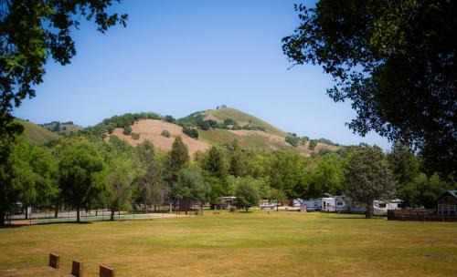 Morgan Hill Complejo | Morgan Hill Camping Resort Cottage 3