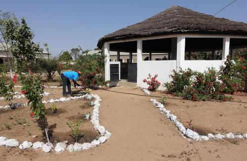 Kwinella Cabina | Morgan Kunda Birding Lodge