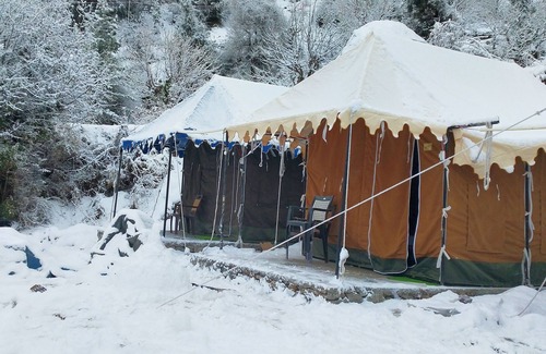 Auli Alquiler De RV | Morning Glory camping and trekking