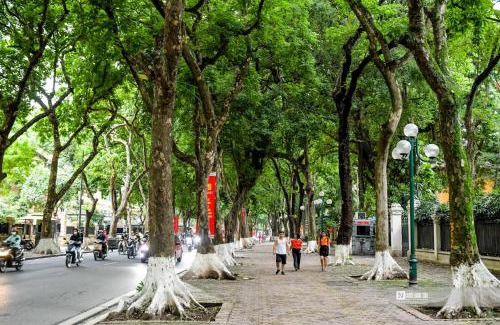 Ba Dinh Apartamento | Morri Homestay - Quán Thánh