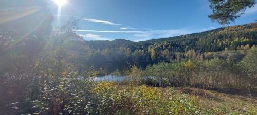 Torsby O Casa | Morsgården