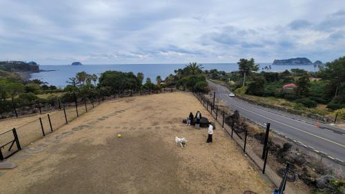 Seogwipo City Casa | morutee stay