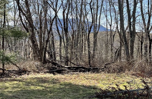 Crumpler Otro | MOSS HOLLAR FARMHOUSE Secluded remodeled farmhouse minutes from The New River