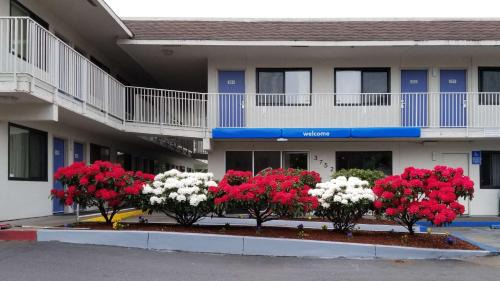 Springfield Hotel | Motel 6-Springfield, OR - Eugene North
