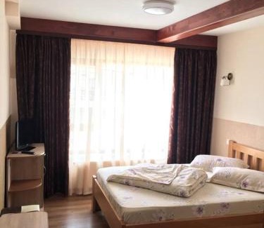 Curtea De Arges Hotel | Motel Mesterul Manole