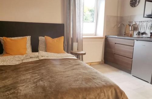 Bytom Apartamento | Motyl Apartamenty Studio lub pokój z łazienką