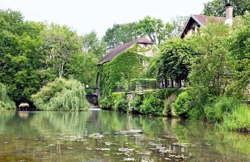 Jancigny Casa | Moulin dans un parc d’élevage à Daims