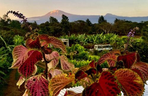 Moshi Cabina | Mount Kilimanjaro 360 view Cottage
