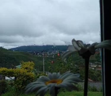 Nuwara Eliya Chalet De Esquí | Mount View Cottage