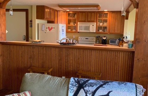 Mountain Air Condominio | Mountain Air - Relajante Pet Friendly Condo Con vistas a la montaña