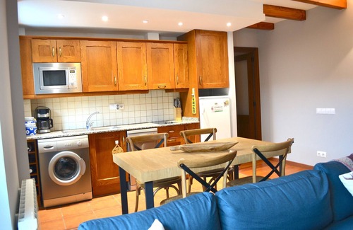 Alt Aneu Apartamento | Apartamento de montaña con chimenea