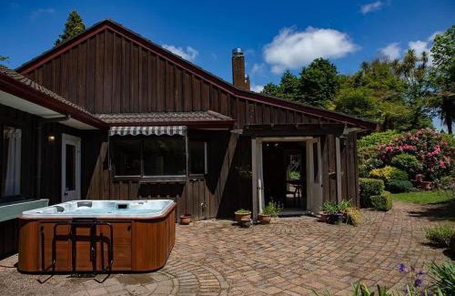 Springfield Casa | Mountain Bike Manor