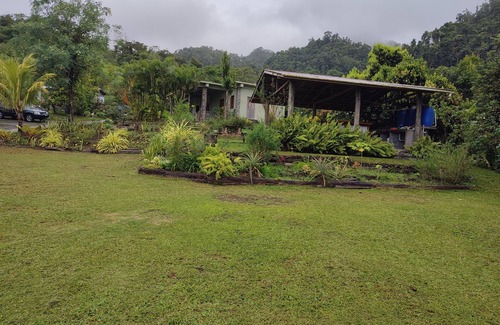Georgetown Cabaña | Mountain Cottage surrounded by the native birds, the Amazona Guildingii