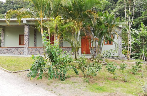 Georgetown Cabaña | Mountain Cottage surrounded by the native birds, the Amazona Guildingii