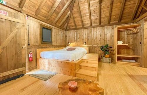 Monte Otro | Mountain Eco Shelter 1