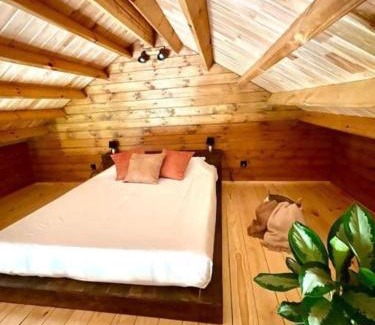 Monte Otro | Mountain Eco Shelter 8