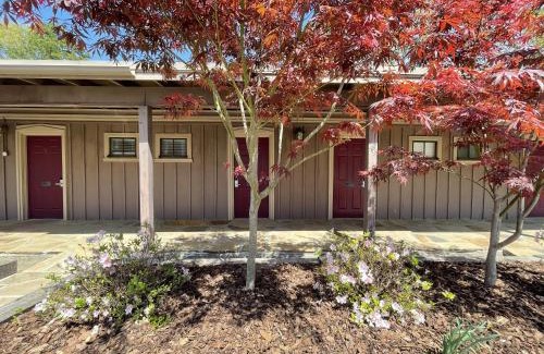 Mount Ida Hotel | Mountain Harbor King Guest Room on Lake Ouachita