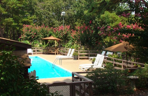 Mount Ida Apartamento | Mountain Harbor King Guest Room on Lake Ouachita by RedAwning