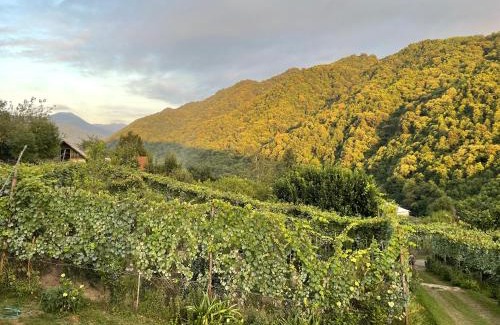 Guria Casa | Mountain Heaven