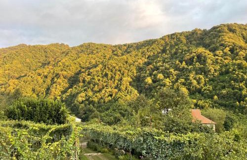 Guria Casa | Mountain Heaven
