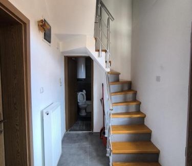 Brezovice Apartamento | Mountain House - Brezovica