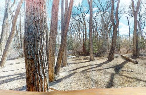South Fork Casa | Mountain Majesty