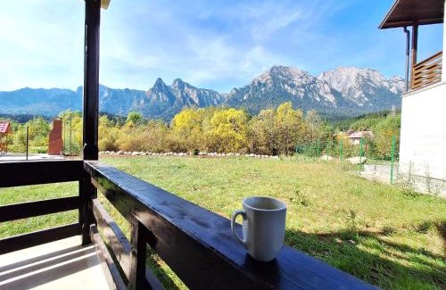 Busteni Apartamento | Mountain Place to Remember