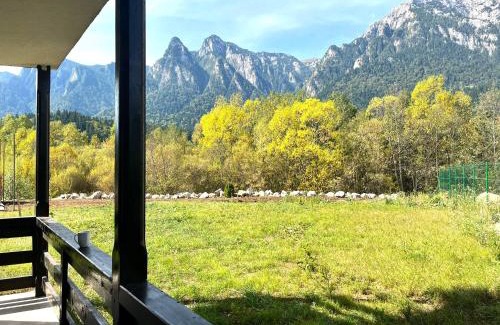 Busteni Apartamento | Mountain Place to Remember