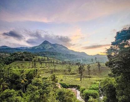 Kottappadi part Casa | Mountain Serenity Meppadi, Wayanad