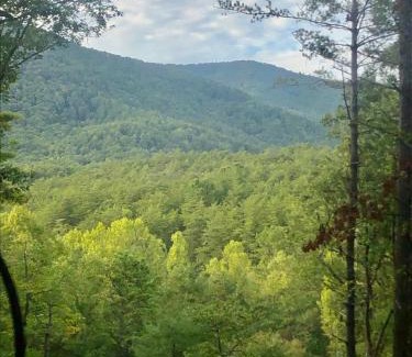 Sautee Nacoochee Casa | Mountain-top Cabin Get-away with Hot tub and a View