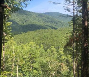 Sautee Nacoochee Casa | Mountain-top Cabin Get-away with Hot tub and a View