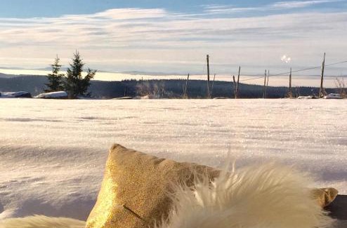Lillehammer Apartamento | Mountain View Apartment with Sauna