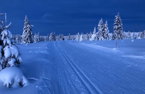 Lillehammer Apartamento | Mountain View Apartment with Sauna