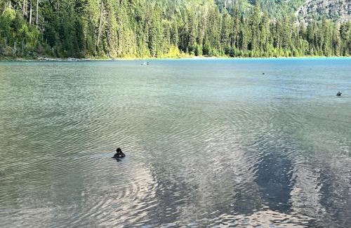 Whitefish Casa | Mountain View Chalet at The Quarry - Sleeps 6!