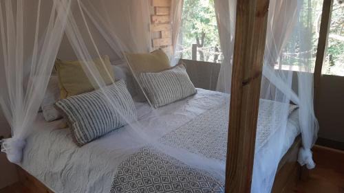 Maruleng Otro | Mountain View Safari Lodge