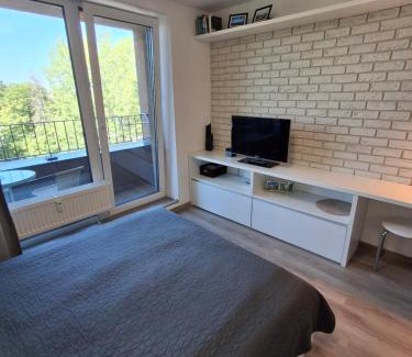 Poprad Apartamento | Mountain View Studio Apartment