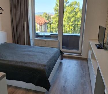 Poprad Apartamento | Mountain View Studio Apartment