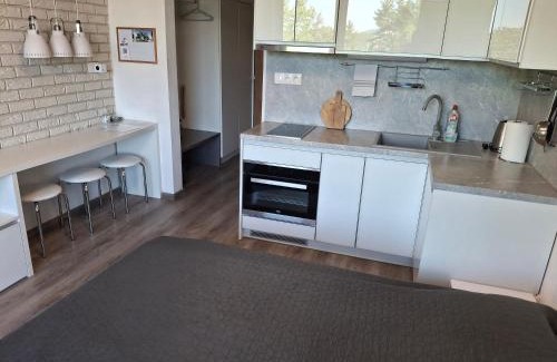 Poprad Apartamento | Mountain View Studio Apartment