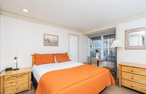 Telluride Hotel | Mountainside Inn 115 by Alpine Lodging Telluride