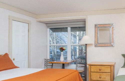 Telluride Hotel | Mountainside Inn 115 by Alpine Lodging Telluride