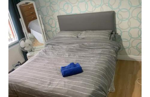 Belfast Casa | Mournview