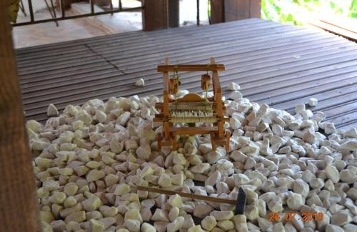 Elafina Casa | Mouson Melathron