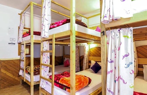 Old Manali Hostal | Moustache Manali