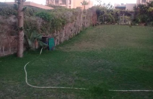 Al-'Amriyah Casa | مارينا الساحل الشمالي