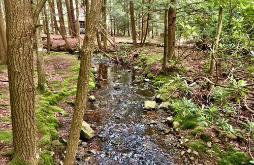 Pocono Pines Chalet De Esquí | Mt. Maplewood Split Lodge