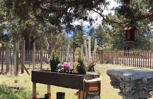 Weed Casa | Mt Shasta, Lake Siskiyou, Montague Balloon Festival - house in peaceful Weed.